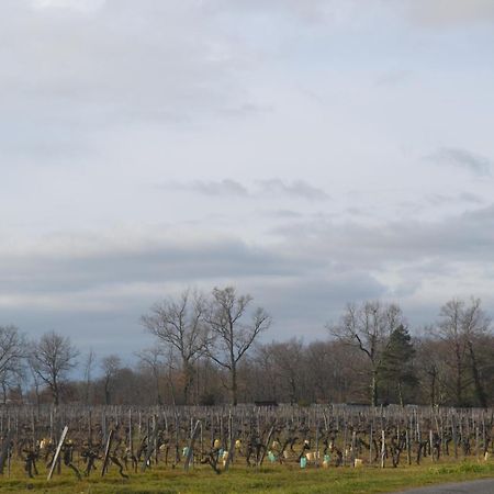 Maison Bertineau Proche Saint-Emilion Néac Zewnętrze zdjęcie