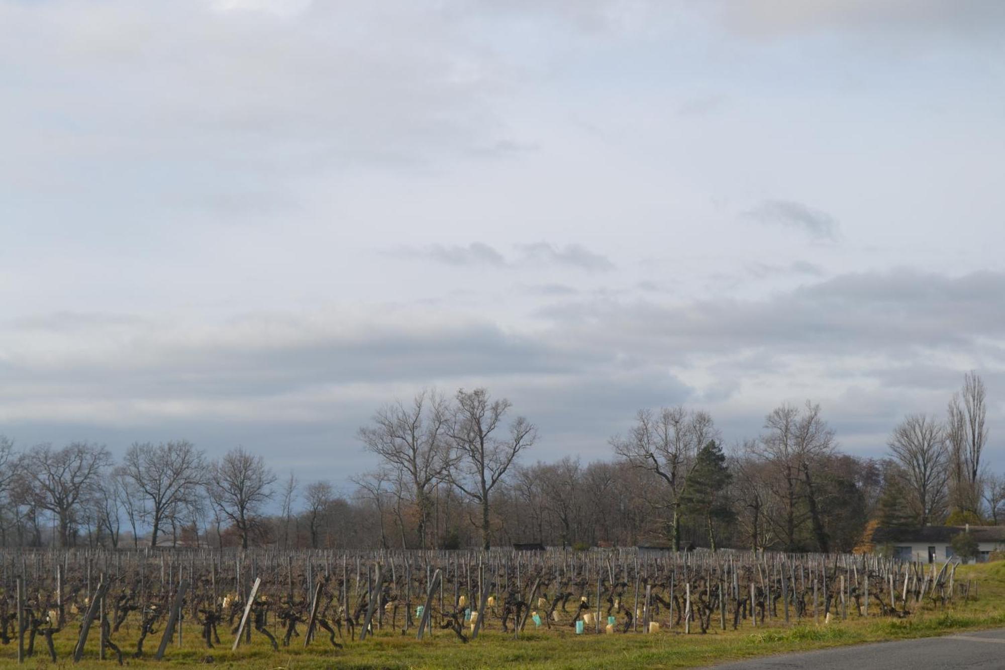 Maison Bertineau Proche Saint-Emilion Néac Zewnętrze zdjęcie